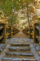 Yosemite Walking Bridge