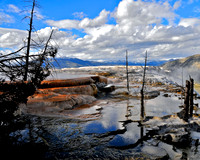 Yellowstone NP