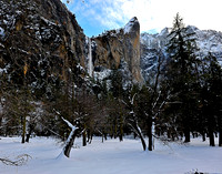 Yosemite NP