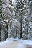 Winter Drive in Yosemite