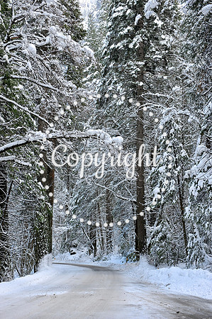 Winter Drive in Yosemite