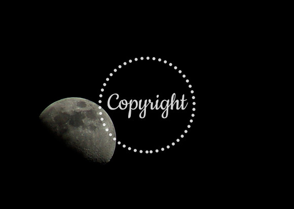 Moon Rise