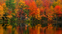 Cabin on The Lake
