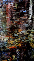 Yosemite Stream - Vertical