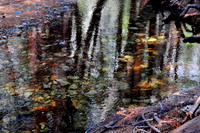 Yosemite Stream - Horizontal