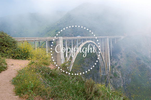 Highway 1 Bridge