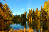 Oregon RV Park