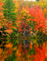 Fall in New York