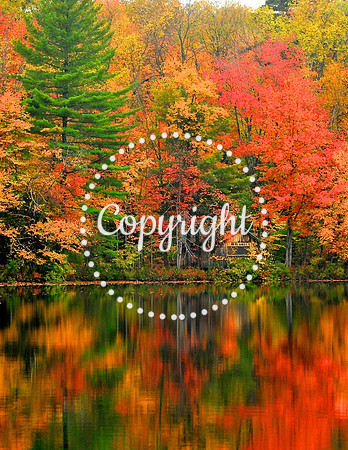 Fall in New York