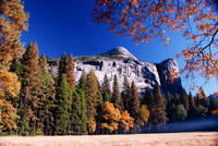 Meadow in the Morning