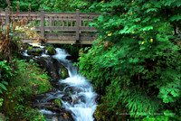 Oregon Walking Bridge