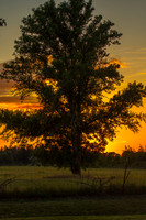 Oregan Ranch Sunset