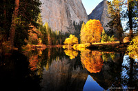 Reflections in the Fall
