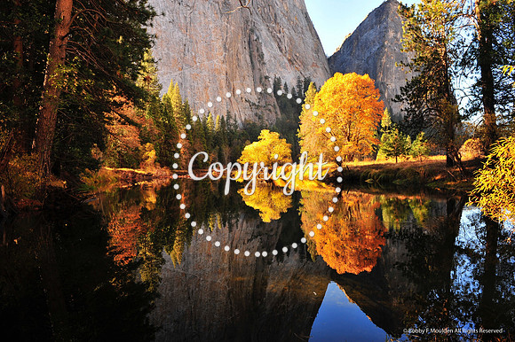 Reflections in the Fall