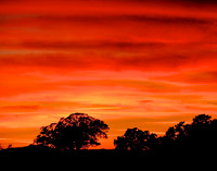 Sunset at New Melones