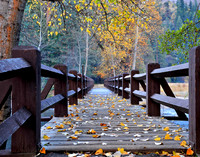The Wood Bridge
