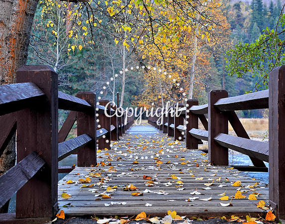 The Wood Bridge