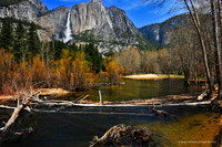Yosemite Spring 2008