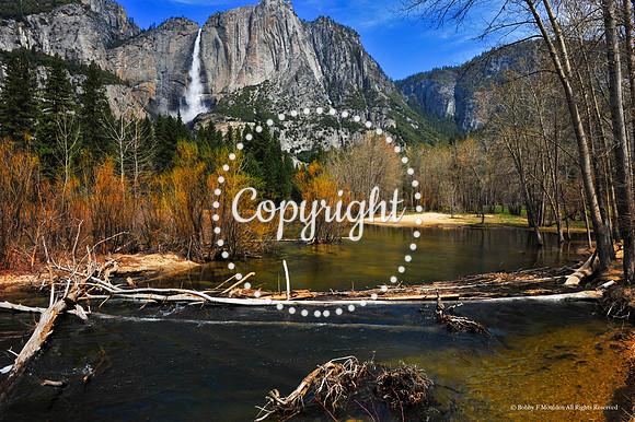 Yosemite Spring 2008