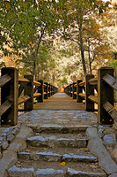 Yosemite Walking Bridge