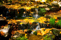 Yosemite Wishing Pond - Fall