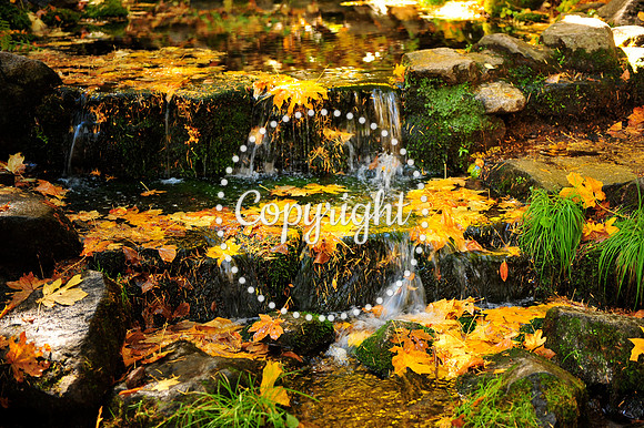 Yosemite Wishing Pond - Fall