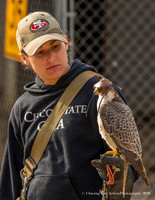 West Coast Falconry